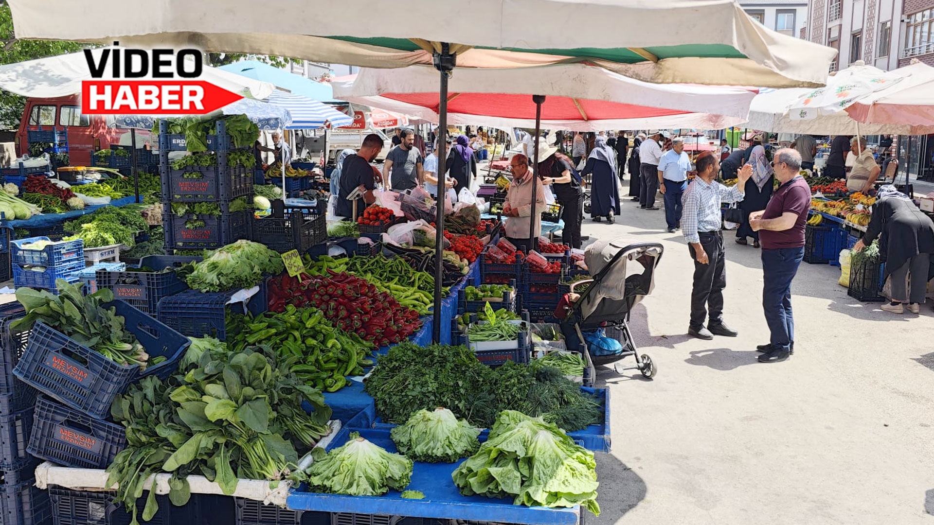 Erzincan Salı pazarında meyve ve sebze fiyatları Erzincan Haber Net