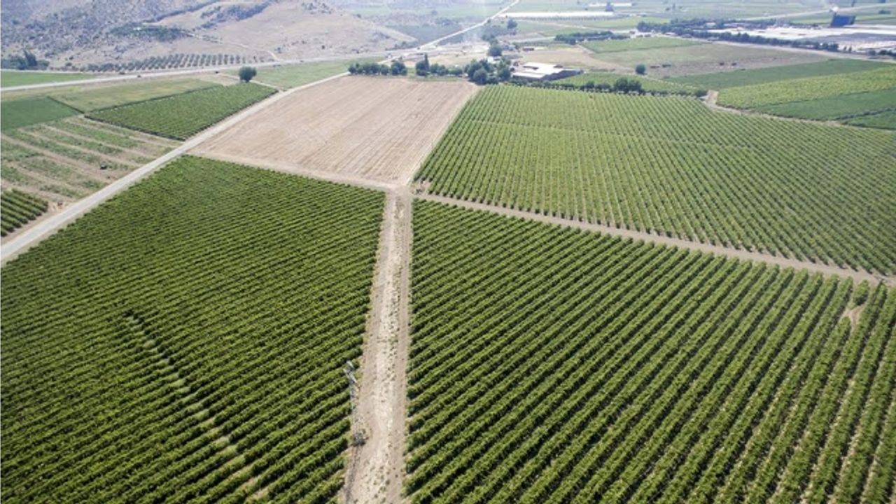 Erzincan’da su ile buluşacak tarım arazi 96 bin 870 dekar olarak belirlendi