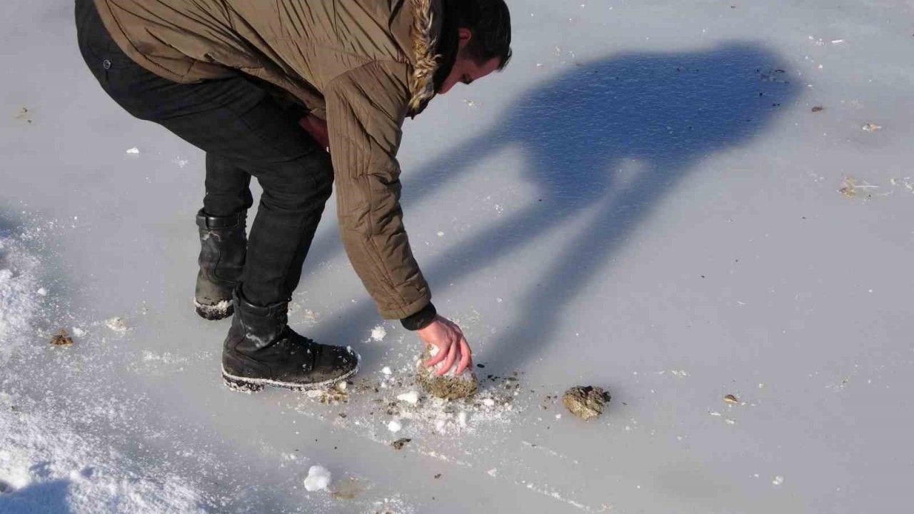 Bitlis’te göletler dondu