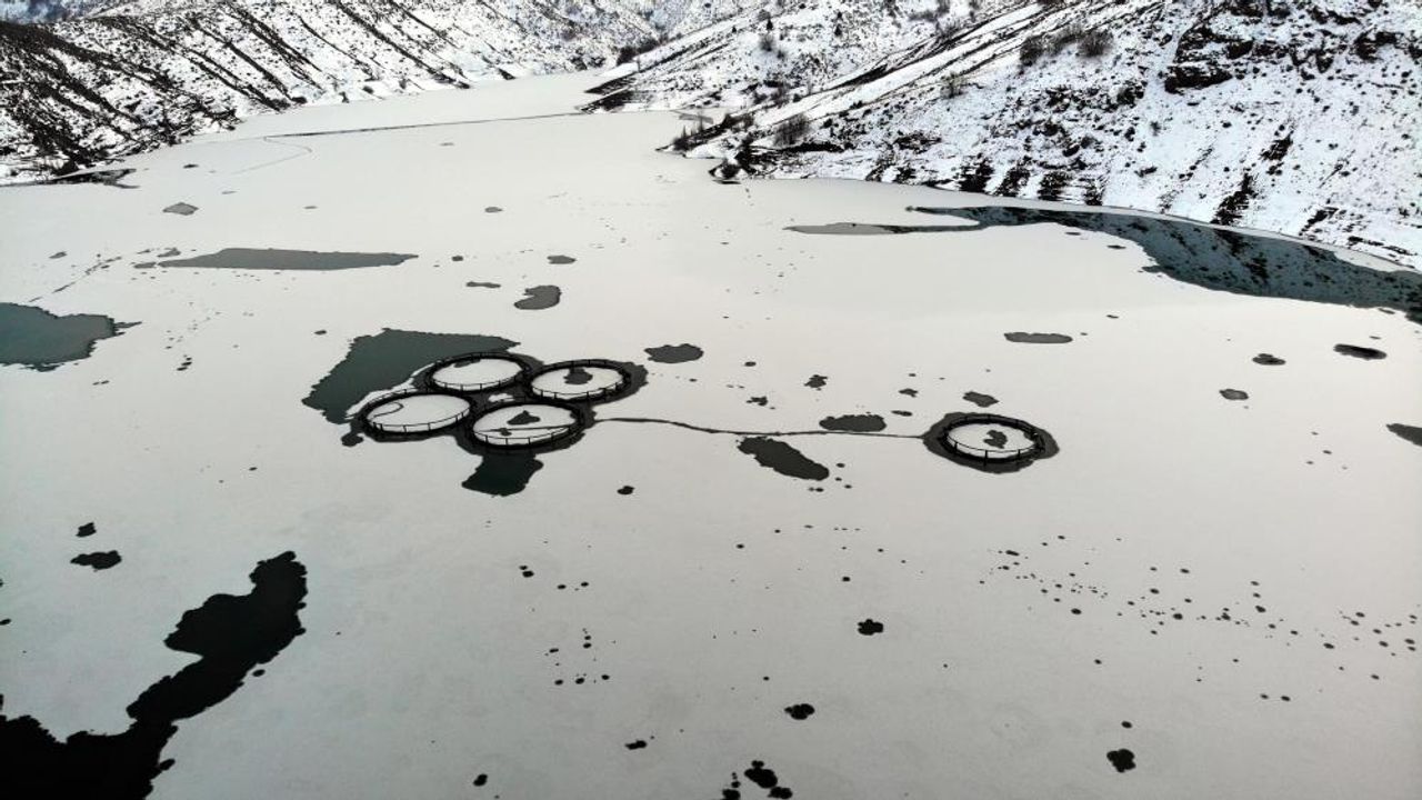 Erzincan'daki Göyne Sulama Barajı buz altında kaldı