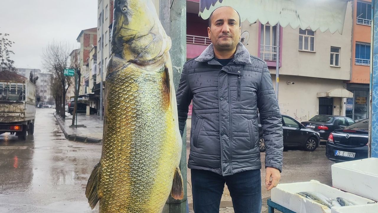 Elazığ’da ağa takılan 28 yaşındaki  dev turna balığı görenleri hayrete düşürdü!
