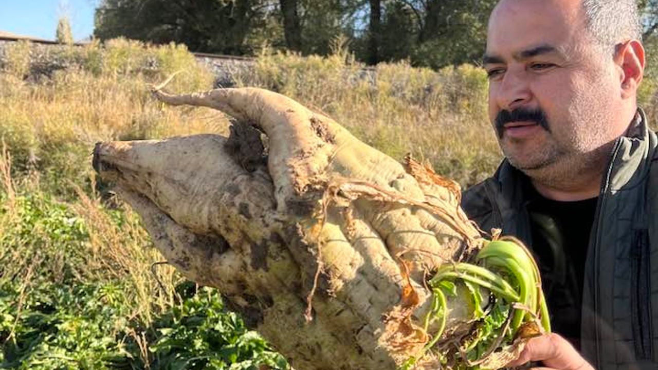 Üreticiden gelen yoğun tepki kararı iptal ettirtti...
