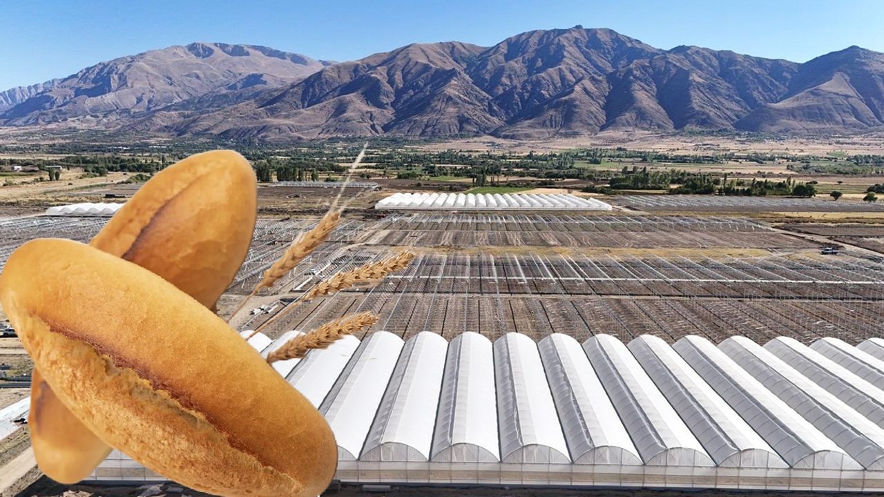 Ekmek fiyatları ve tarımda kritik kararlar alındı