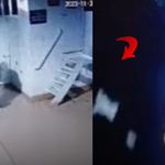 Feribotta tartışma sonrası bayan kendini suya attı!