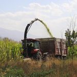 Erzincan’da Hangi Ürüne Ne Kadar Destek Verilecek? İşte Kalem Kalem Rakamlar