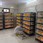 Geleceği Tehdit Eden Zararlıya Karşı Kritik Adım Kelkit’ten Geldi