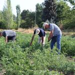 Geleceğin Tarım Uzmanları Erzincan Enstitüde Yetişiyor