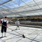 Kaymakam Tuz Havuzuna Girdi! Kendi Elleriyle Hasat Etti...