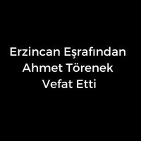 Ahmet Törenek vefat etti