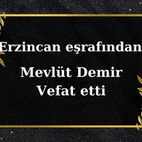 Mevlüt Demir vefat etti