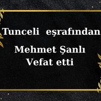Mehmet Şanlı vefat etti