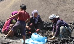 Mangal Kömürü Üretmek İçin Gece Gündüz Mesai Yapıyorlar