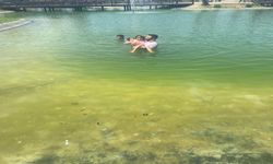 3 Çocuk Havuzda Boğulmaktan Kurtarıldı