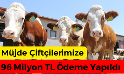 Müjde Destekleme Ödemeleri Aktarıldı