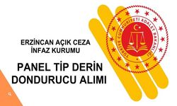 ERZİNCAN AÇIK CEZAEVİ MÜDÜRLÜĞÜ PANEL TİP DERİN DONDURUCU ALIMI