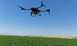 Tarım' da Yenilik Dronla İlaçlama