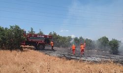 Ormanlık alanda çıkan yangın kontrol altına alındı