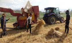 Tarım-ÜFE yıllık yüzde 62,48, aylık yüzde 8,03 arttı