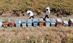 2000 Rakımlı yaylalardan doğal şifa, Tescilli geven balının ilk hasadı başladı  