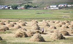 30 derece sıcaklıkta çiftçilerin ekmek parası mücadelesi