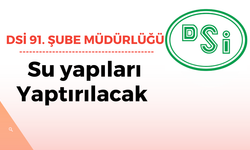 DSİ 91. ŞUBE MÜDÜRLÜĞÜ SU YAPILARI YAPTIRILACAKTIR