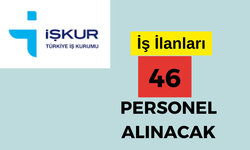 İşkur, 46 Personel alımı yapılacağını duyurdu