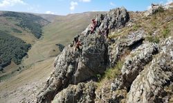 Merada otlayan keçiler tırmandıkları kayalıklarda mahsur kaldı