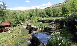 Erzincan’da sıcaktan bunalanlar Kemah Soğuk Sular’da serinliyor