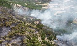 Türkiye'nin 6 ilinde  orman yangını! Yangına havadan ve karadan müdahale sürüyor...