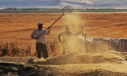 Tarımsal girdi fiyat endeksi yıllık yüzde 27,70, aylık yüzde 3,46 arttı.