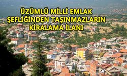 ÜZÜMLÜ MİLLİ EMLAK ŞEFLİĞİNDEN TAŞINMAZLARIN KİRALAMA İLANI