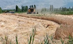 Son dakika... Çiftçilere Müjde! Tarımsal destek ödemeleri hesaplara aktarıldı