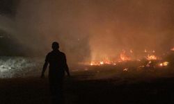 Erzincan’da otluk arazide çıkan yangın geceyi aydınlattı.