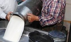 Uzmanlar uyarıyor: TikTok'ta çiğ süt akımı tehlike saçıyor!
