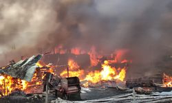 Kastamonu’da facia 43 ev yandı 10 dan fazla hayvan telef oldu