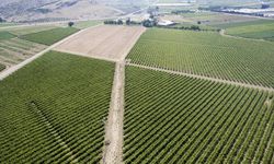 Erzincan’da su ile buluşacak tarım arazi 96 bin 870 dekar olarak belirlendi
