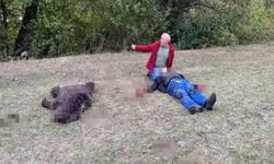 Son dakika… Artvin'den feci olay! Yaşlı adamı ayı ağır yaraladı