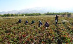 Kadın girişimciler siparişlere yetişemiyorlar  