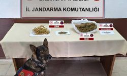 Jandarma ekiplerinin operasyonları devam ediyor