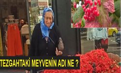 Erzincan'da tezgahlarda yerini alan kırmızı meyvenin adı nedir? Sağlık açısından faydaları nelerdir?