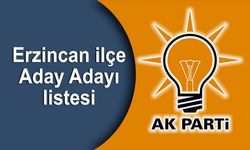 Erzincan ilçelerinden AK Parti'den kimlere A. adayı oldu