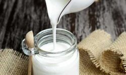 Kefir içmek caiz midir? Kefir içmek haram mı?