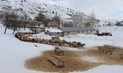 Erzincan’da besiciler kış sezonuna start verdi