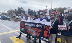 Erzincan'da zulme dur demek için hekimlerden sessiz yürüyüş
