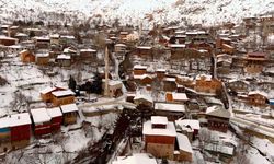 Erzincan'da kış fotoğrafları kartpostalları aratmadı