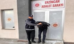 Erzincan’da 19 kaçak göçmen yakalandı