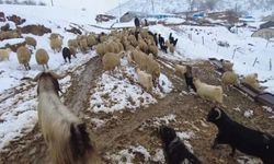Erzincan'da köylü kadınların kış yoğunluğu