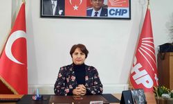 Erzincan CHP İl Başkanlığına Fevziye Köylü getirildi