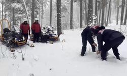 Kars Jandarma Ekiplerinden Yaban Hayvanlarına Yiyecek Yardımı