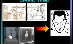 Davranışçı Yaklaşım (Behavyorizm): Davranışsal Yaklaşım Nedir?